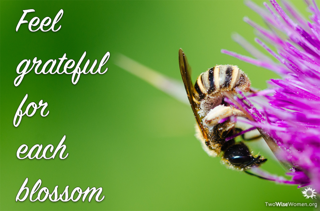 Be Grateful for Each Blossom - Two Wise Women